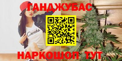 индика Обь