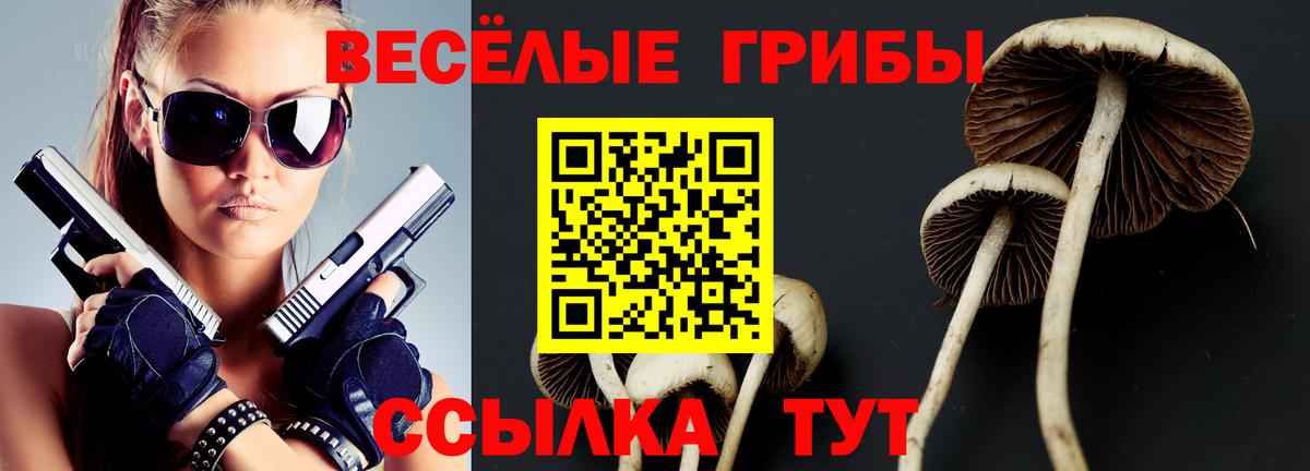 Киреевск  Псилоцибиновые грибы прущие грибы  купить   Вход с VPN 